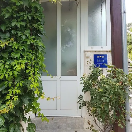 Nina * Kuciste