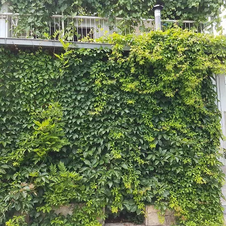 Nina Apartmán Kuciste